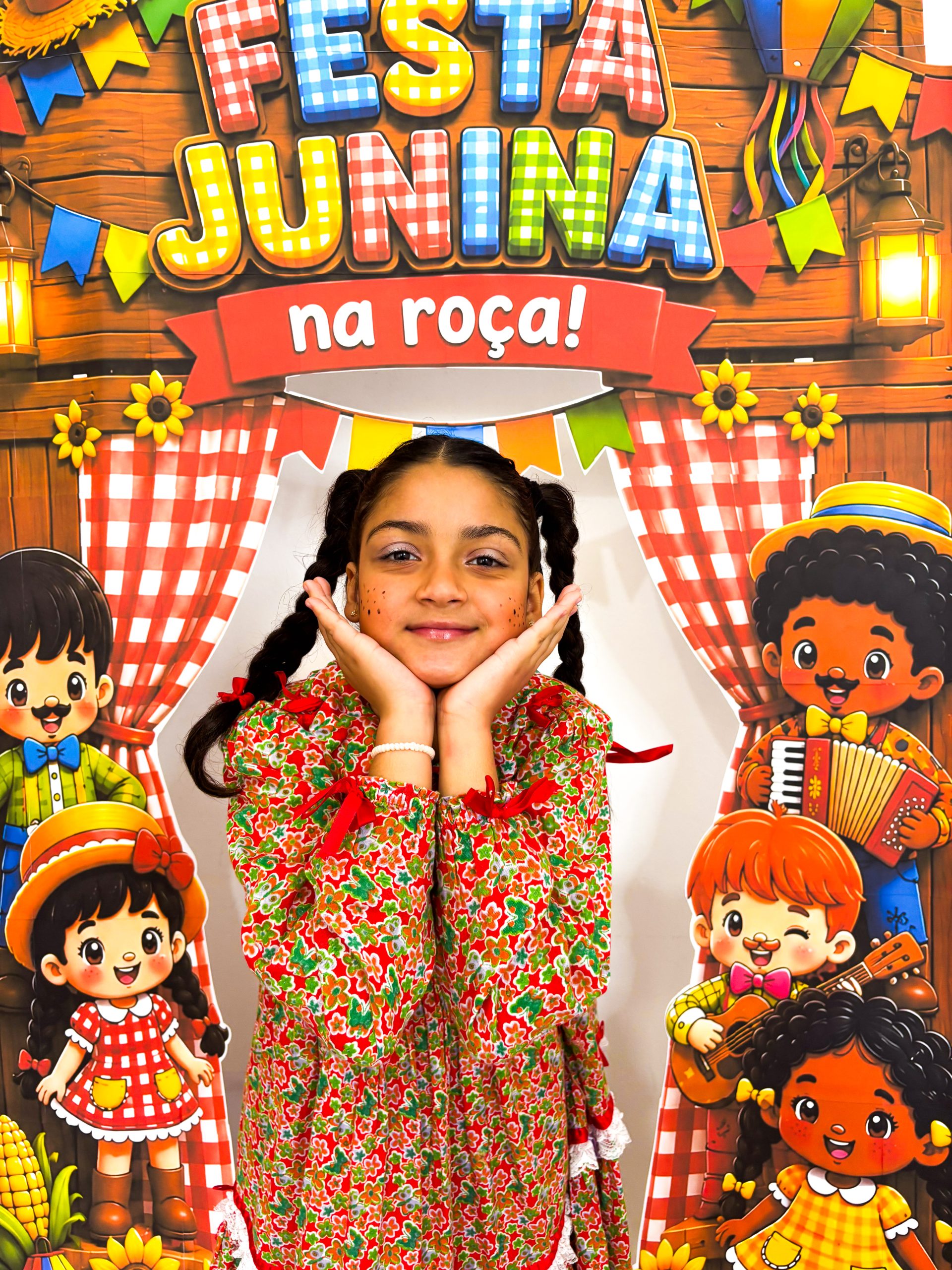 Portal Arraiá - Imagem 2